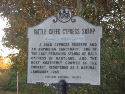Battle-Creek-Cypress-Swamp