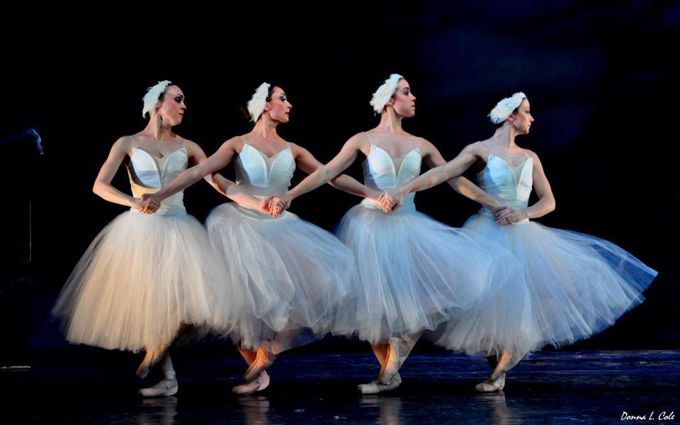 Swan Lake at the Ballet Theatre of Maryland