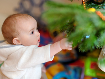 Baby Christmas Tree