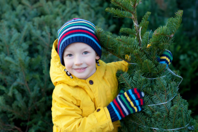 Boy with fresh-cut Christmas tree
