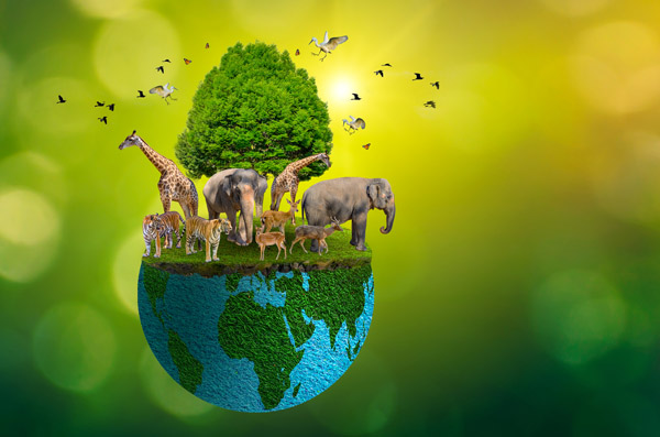 world wildlife day concept picture
