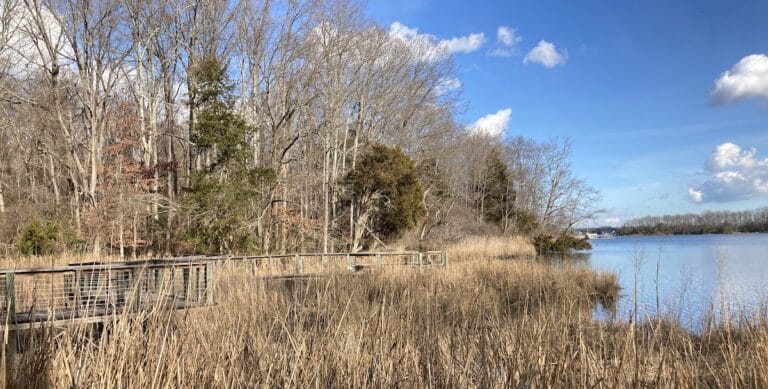 Exploring Nature and History— Edgewater’s Smithsonian Environmental Research Center