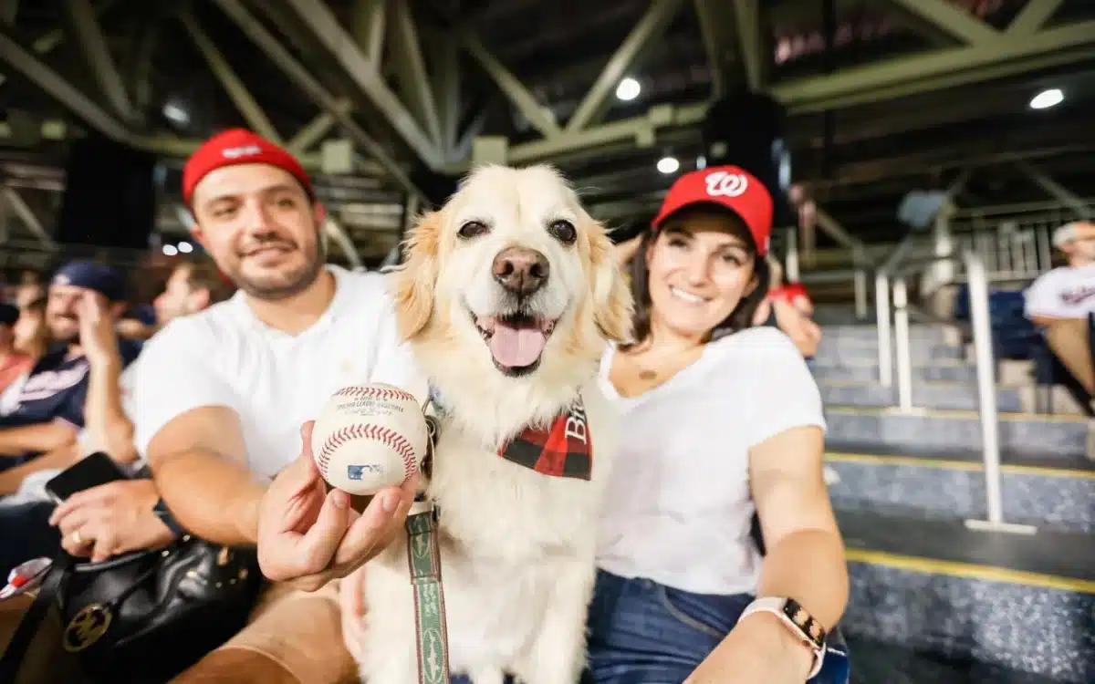 A couple with their dog at a baseball game.